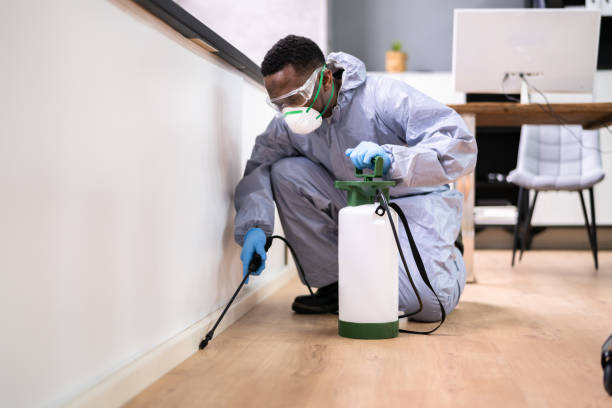 Best Residential Pest Control  in Standish, MI